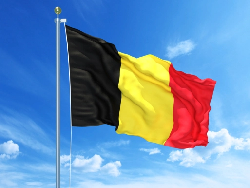 Belgium Flag - Removals to Belgium