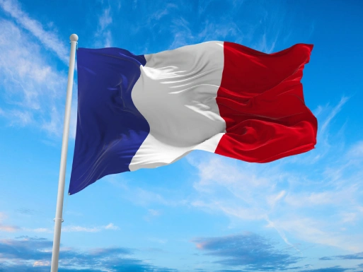 France flag - removals to France from the UK