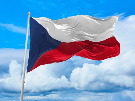 Removals to Czech Republic