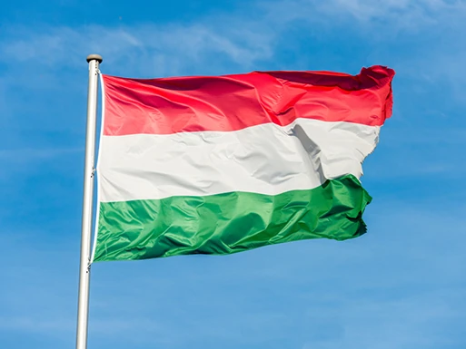 Removals to Hungary with MuveOne