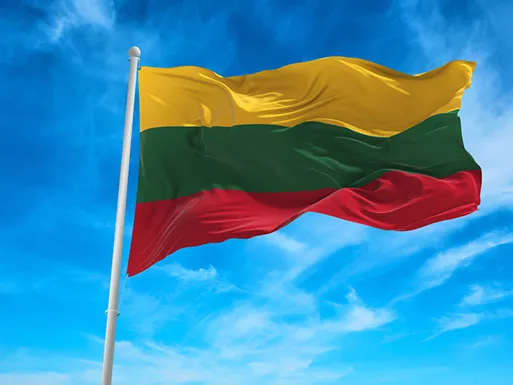 Removals to Lithuania