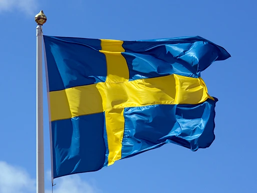 Removals to Sweden - Swedish Flag